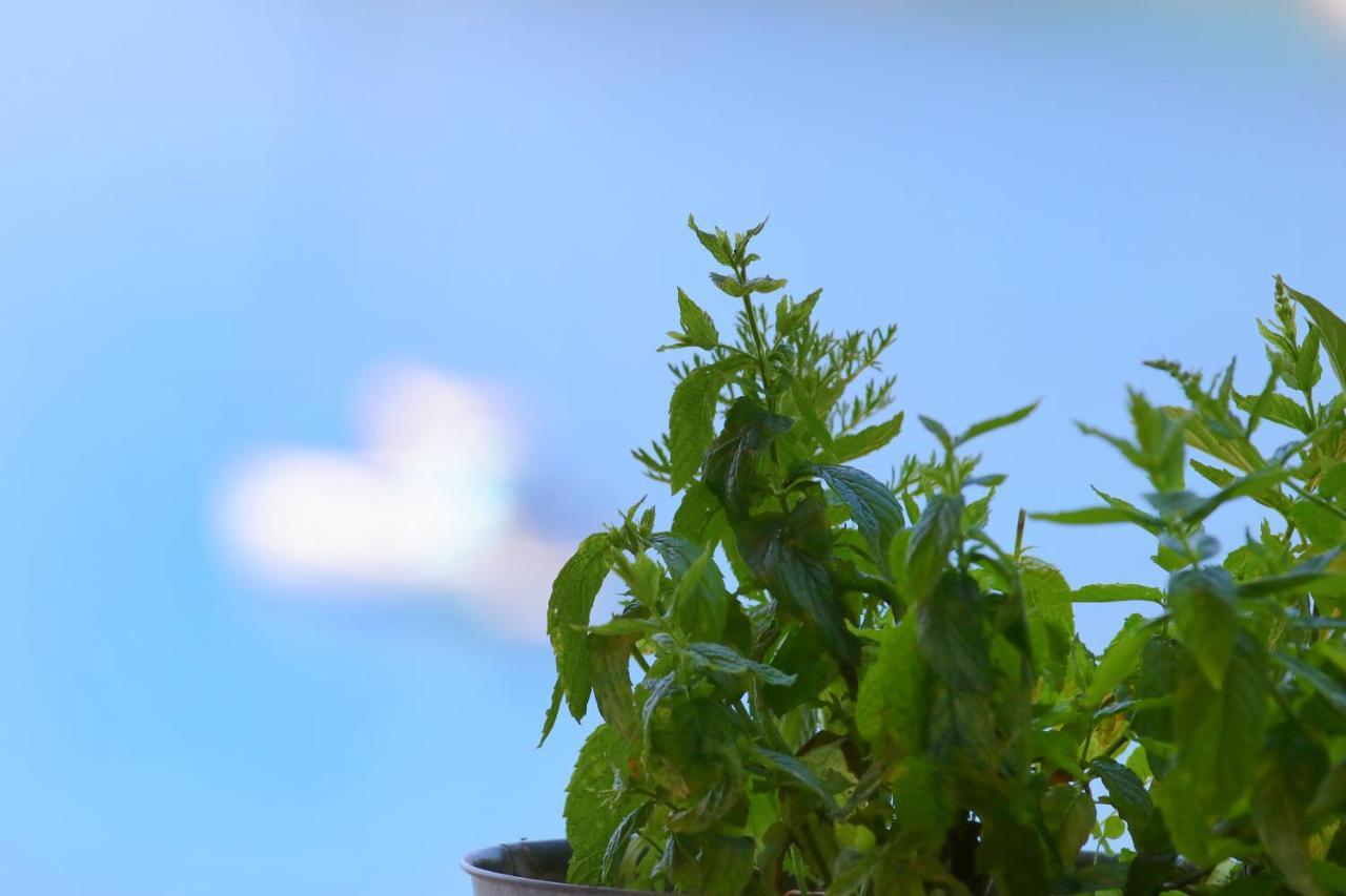 Poros Beach Studios Dış mekan fotoğraf
